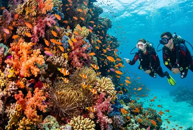 Full-Day Red Sea Scuba Diving Boat Trip