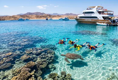 Marsa Mubarak Sea Turtle & Dugong Boat Cruise